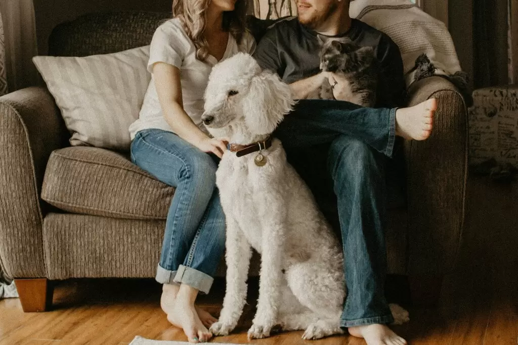 From Pets to Family Members: The Rising Pet Economy in China