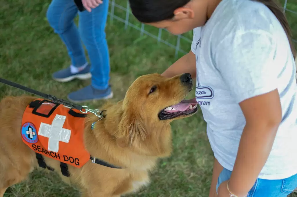 First Aid for Pets: Essential Skills Every Owner Should Learn